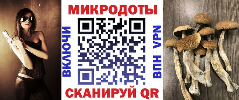 Галлюциногенные грибы Psilocybine cubensis  Палласовка 