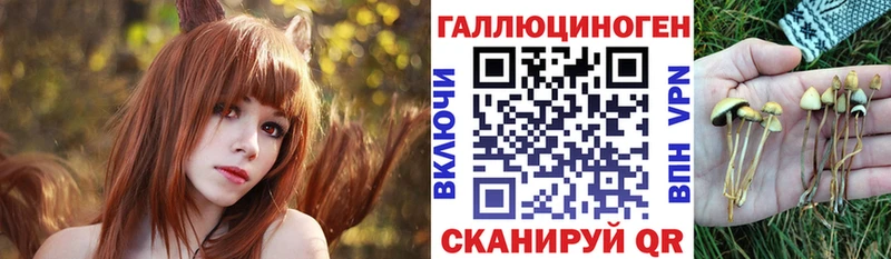 Псилоцибиновые грибы прущие грибы Палласовка