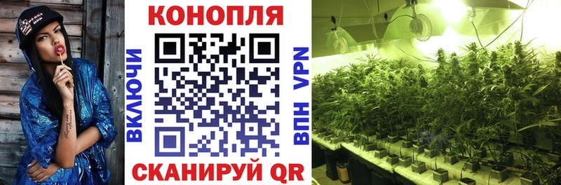 Шишки марихуана семена  как найти закладки  Палласовка 